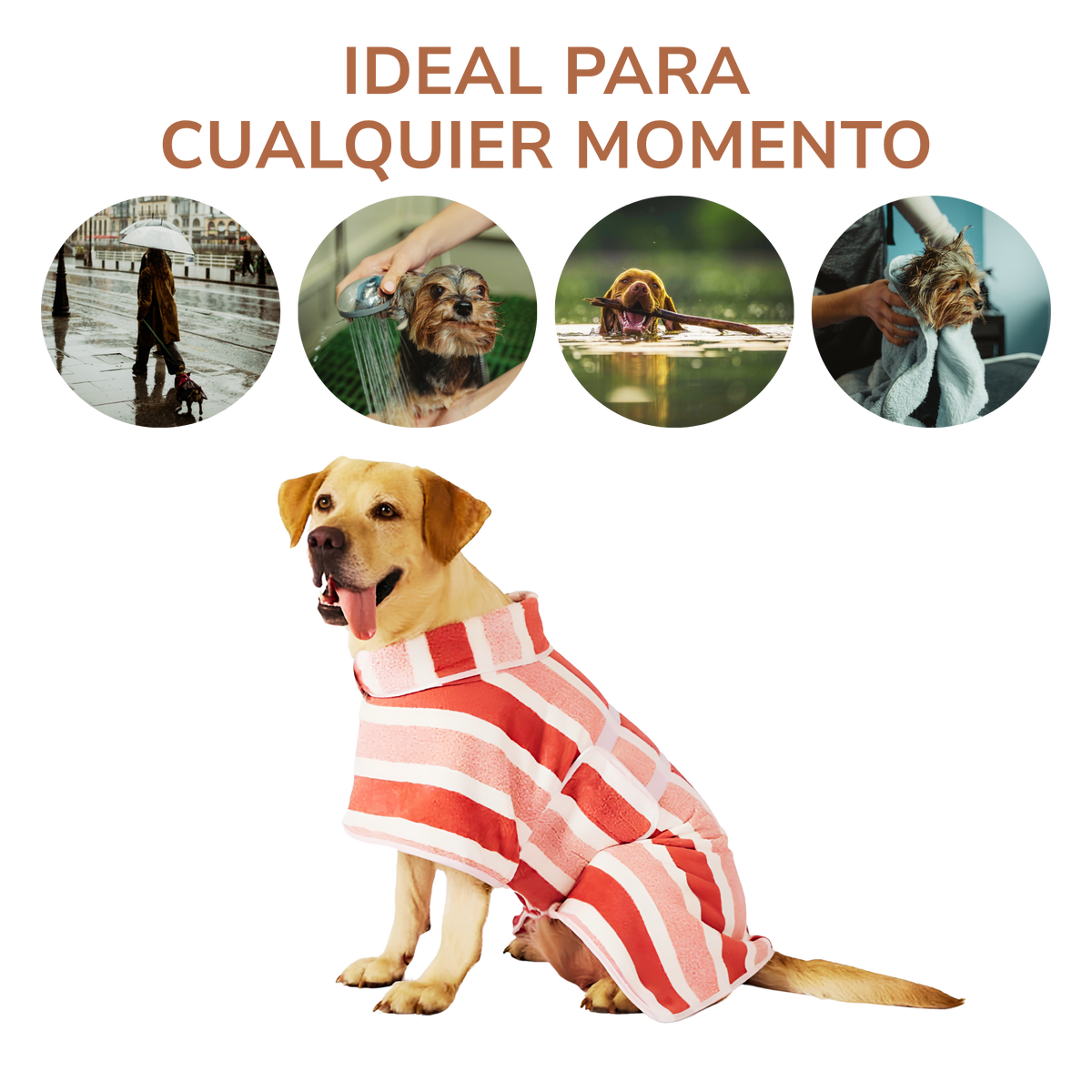 Albornoz ROQELA™