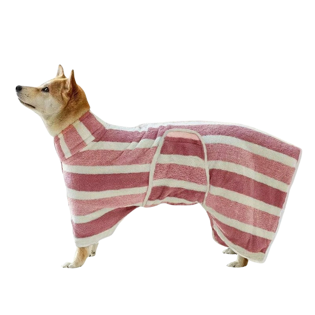 Albornoz ROQELA™