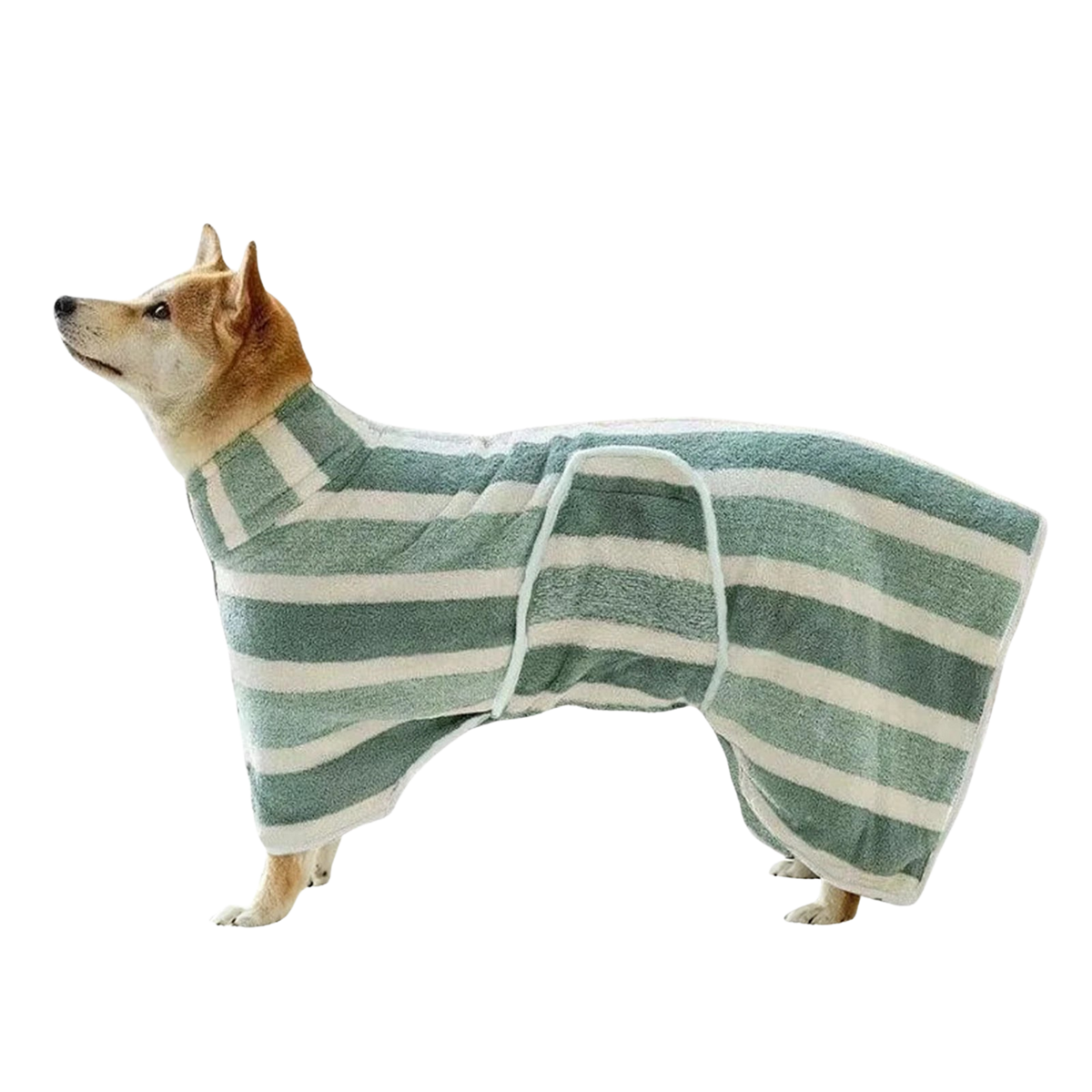 Albornoz ROQELA™