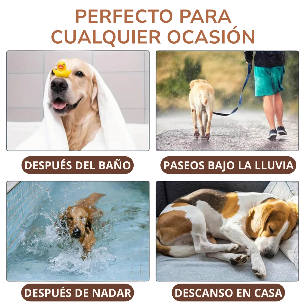 Albornoz ROQELA™