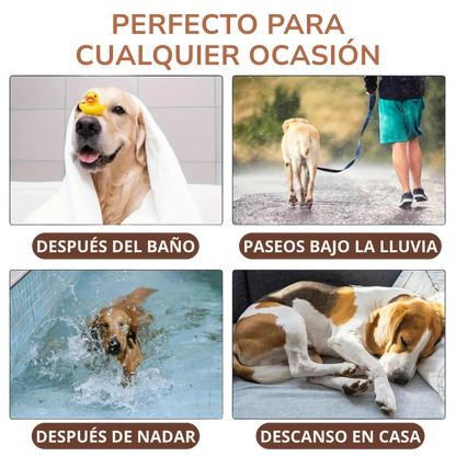 Albornoz ROQELA™